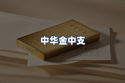 中华金中支
